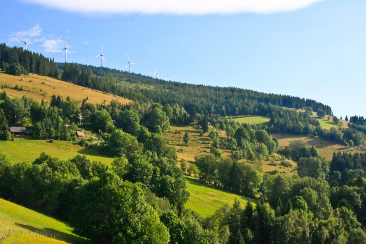 Genussgasthof Willenshofer Sankt Kathrein am Hauenstein Екстер'єр фото